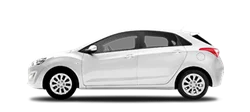 Hybrid
